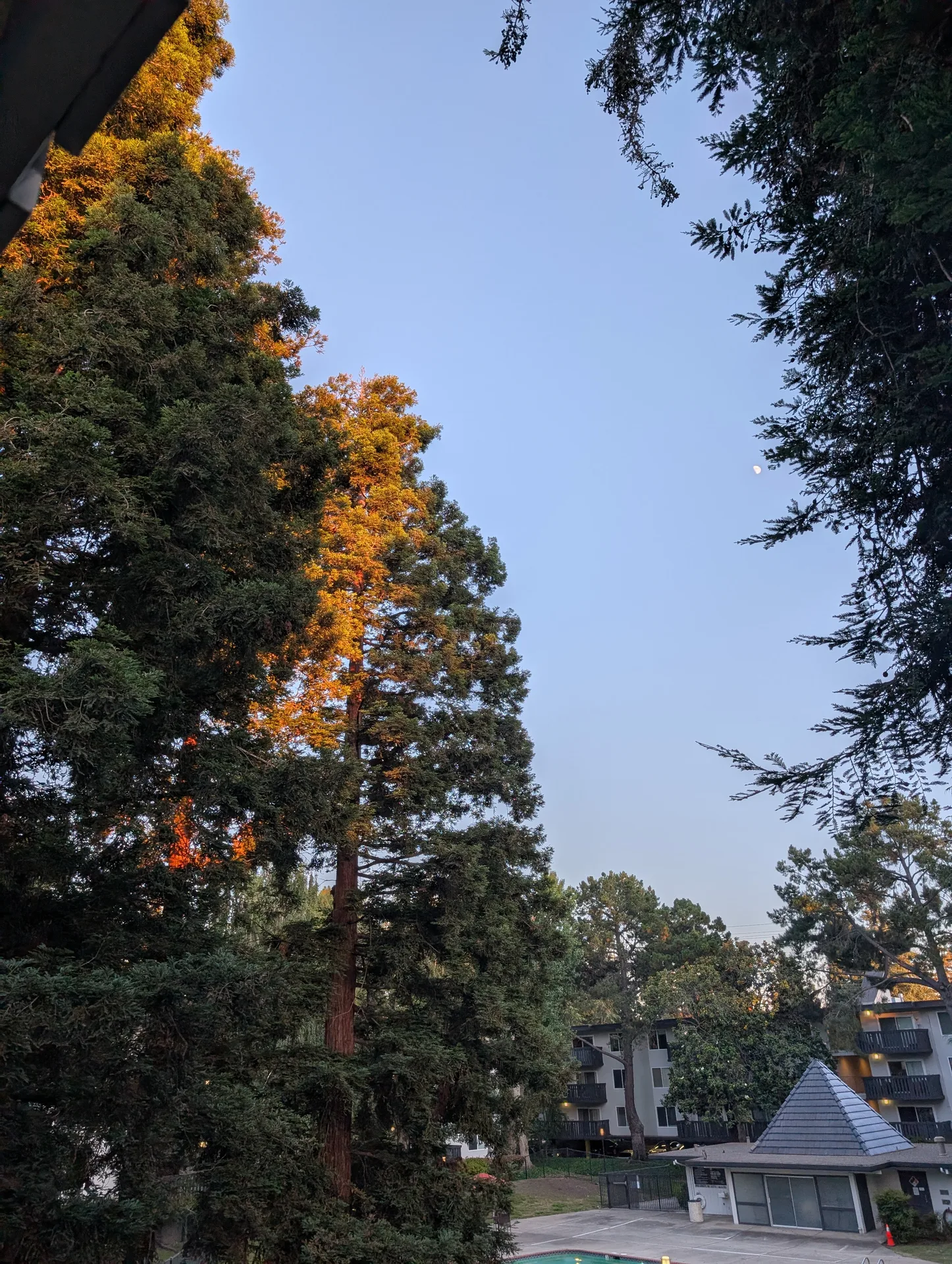sunnyvale, half a moon