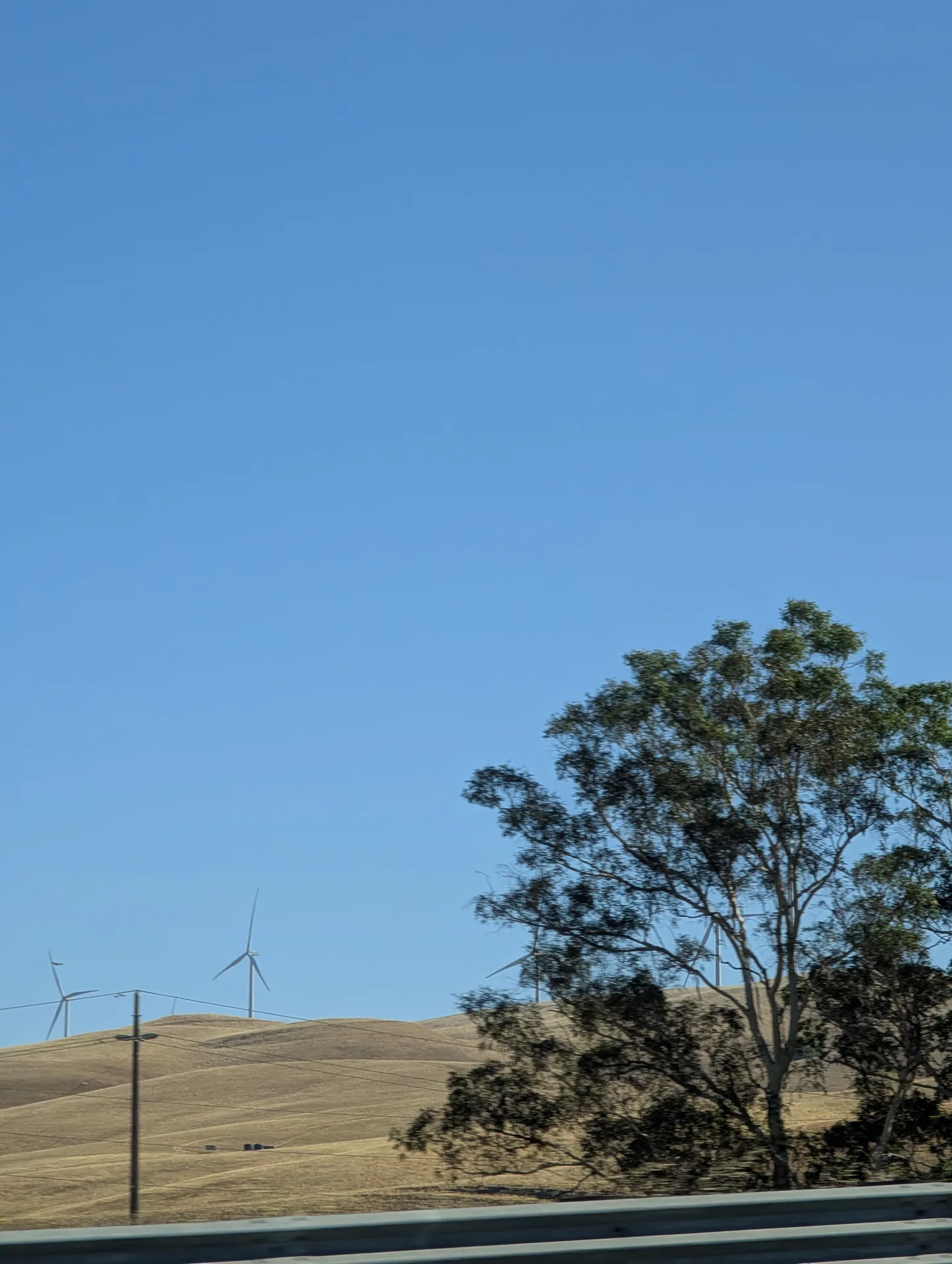 altamont pass windmills