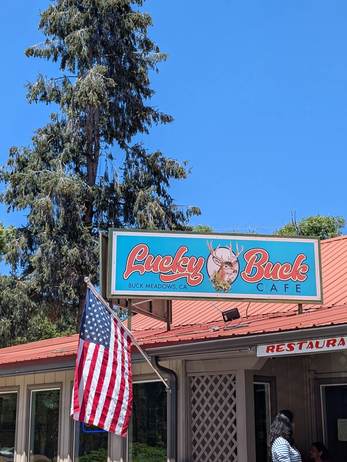 lucky buck cafe, buck meadows