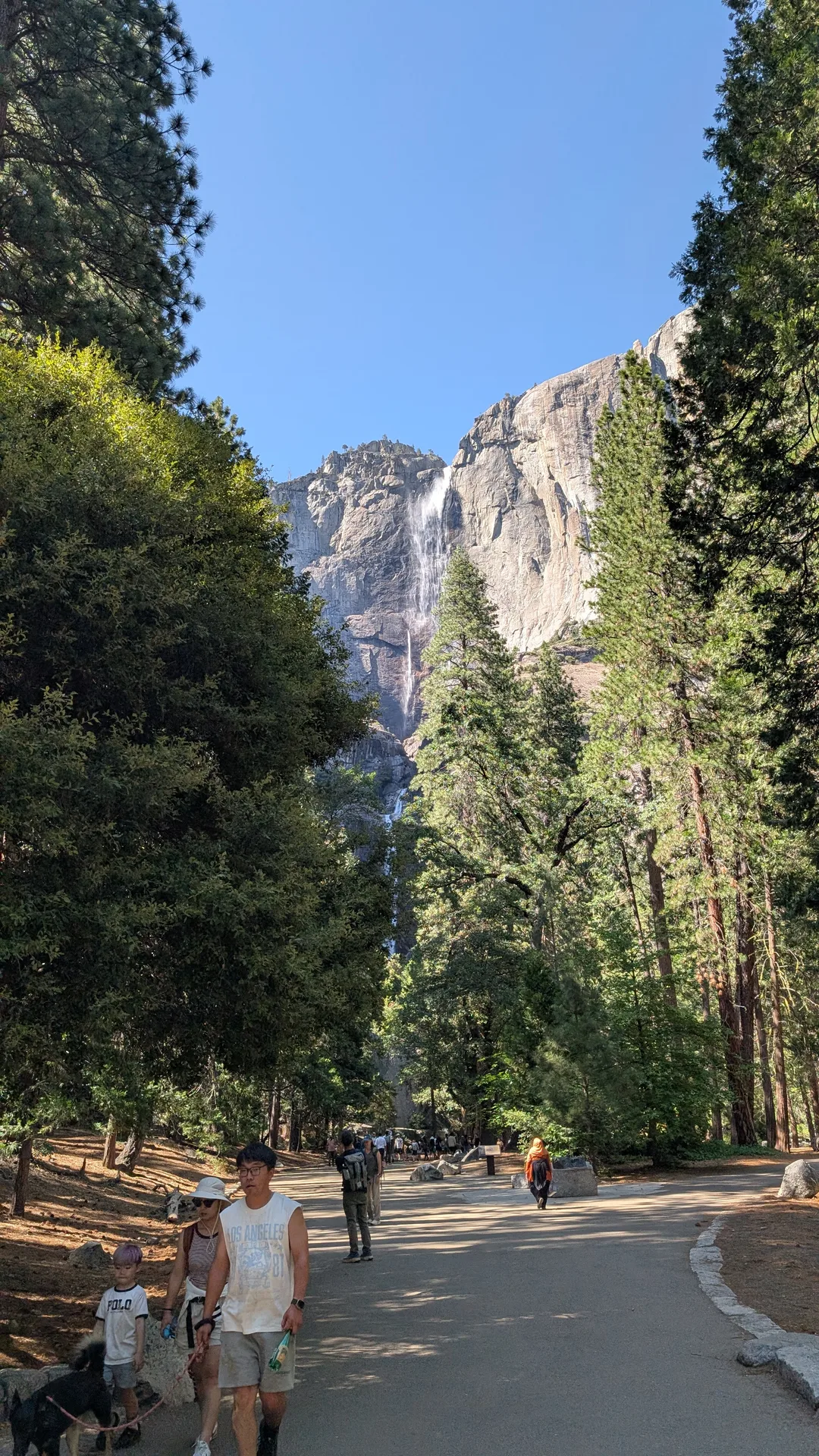 lower yosemite fall, thin in july
