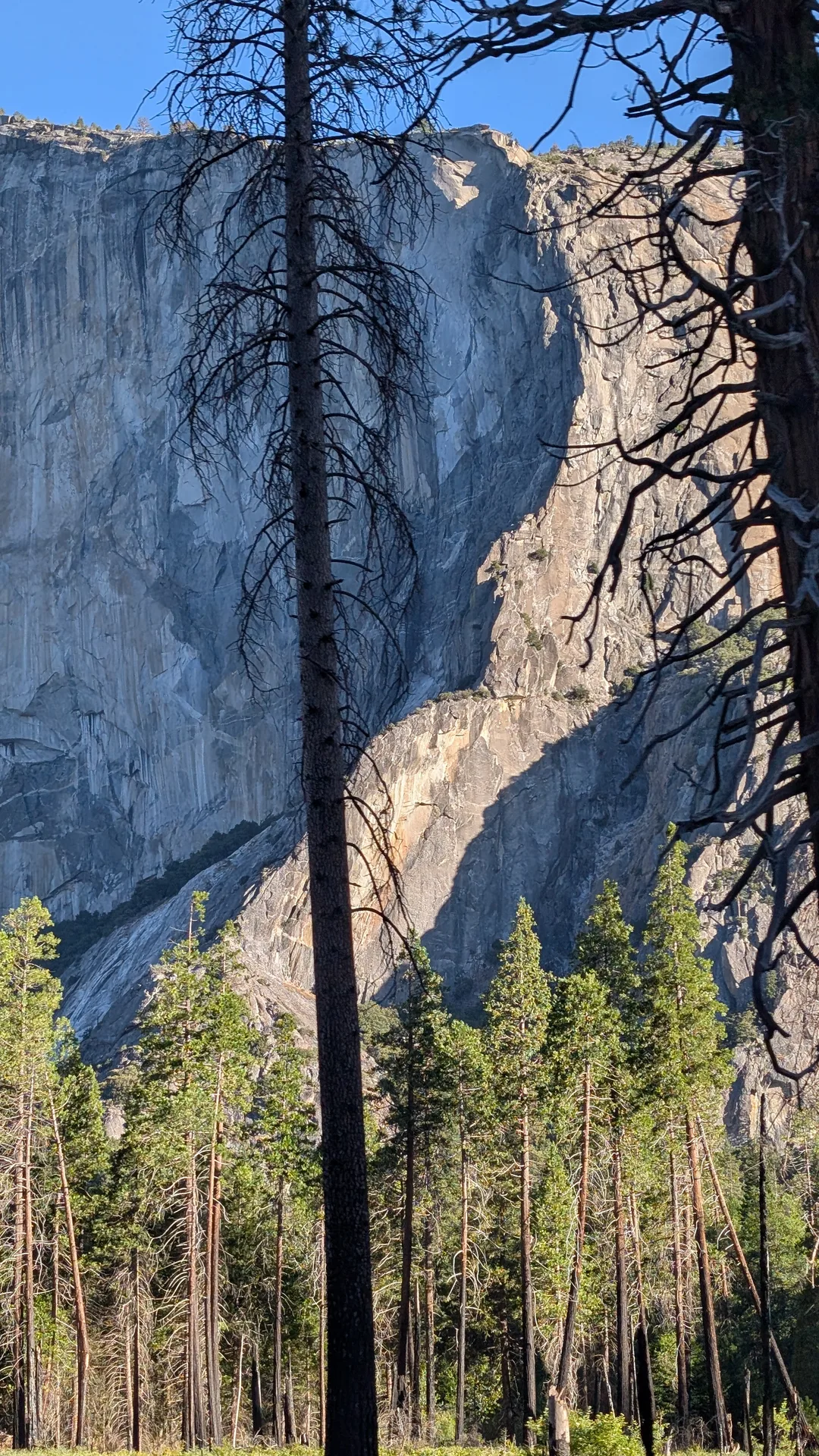 el capitan, from southside drive