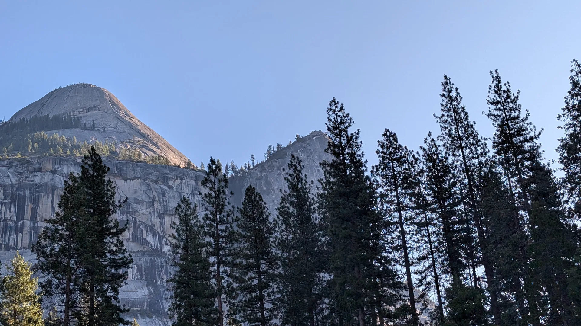 north dome over the pines