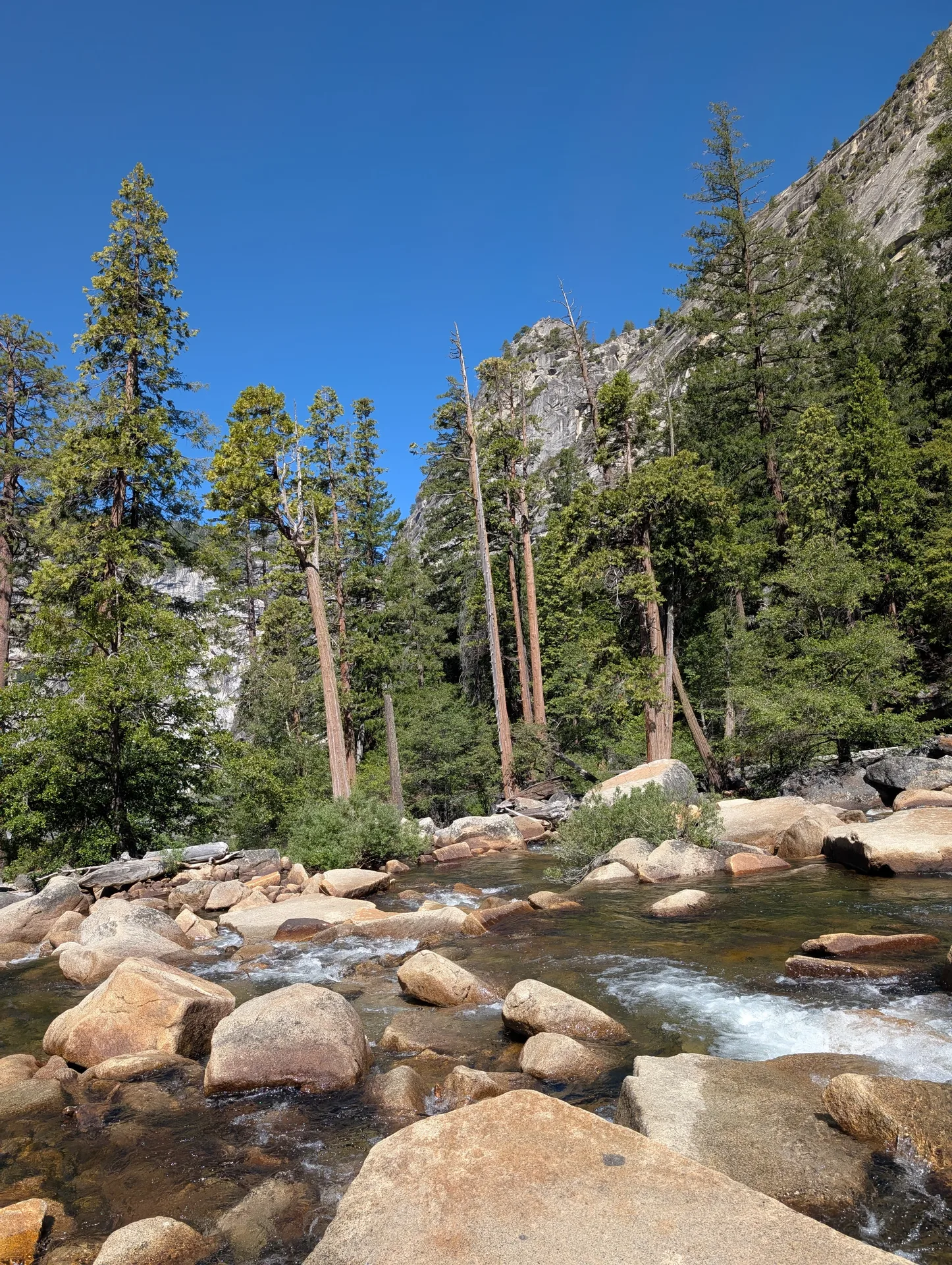 the merced, above the fall