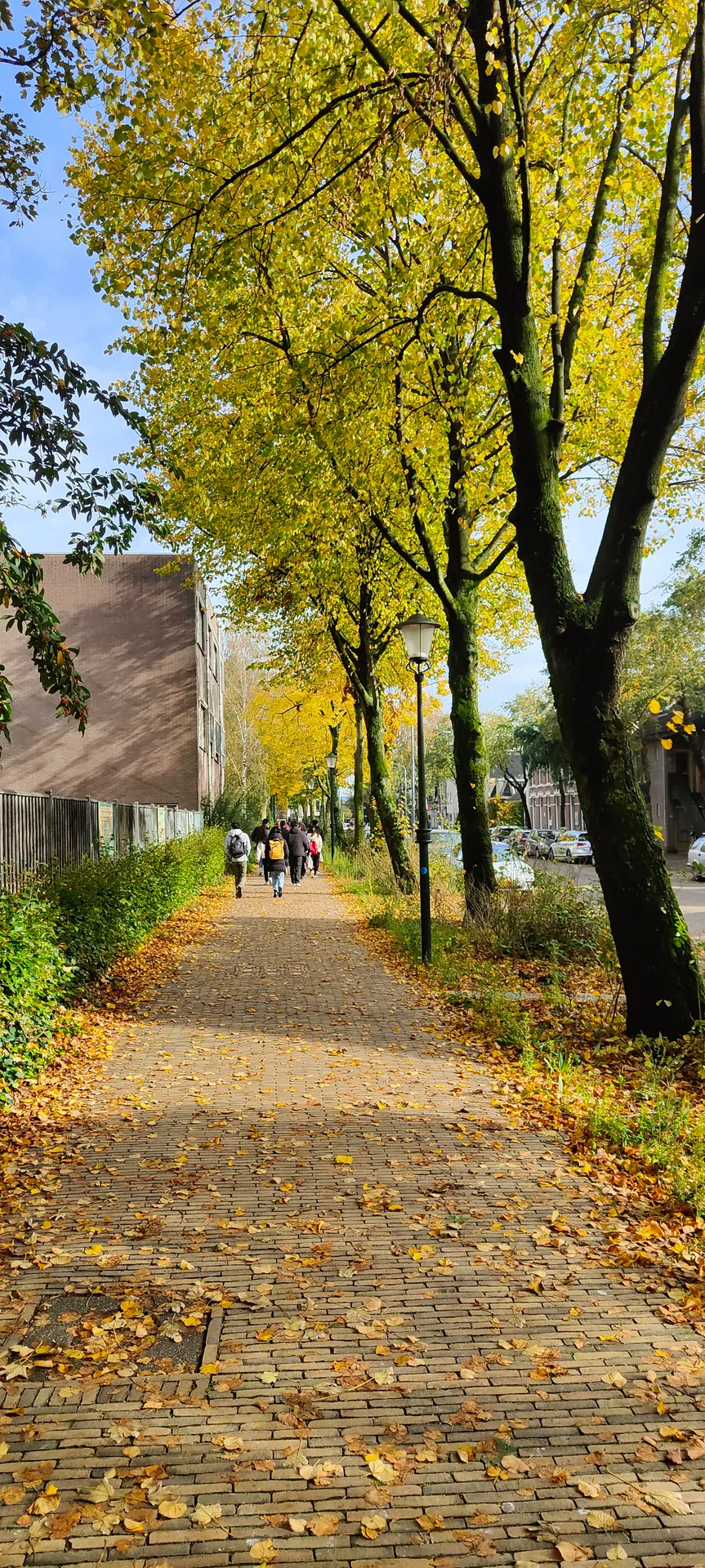 stationsstraat gone gold, koog aan de zaan