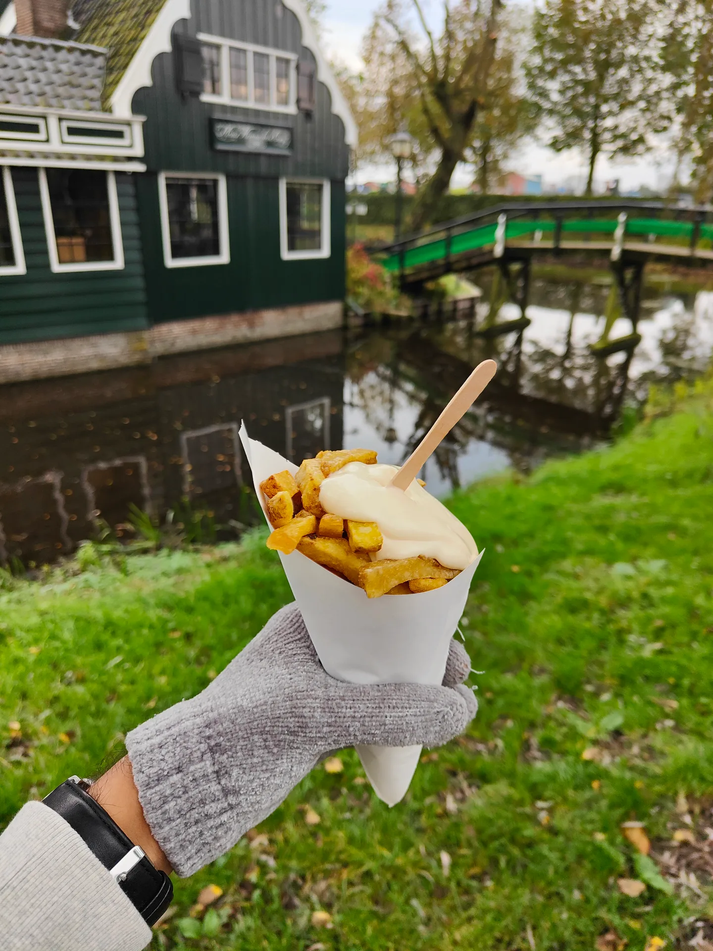 fries by the zaan, honestly the best of the whole trip