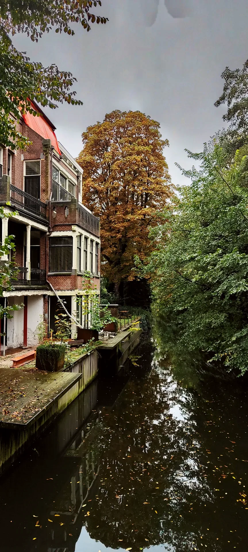 the canal holding an autumn tree