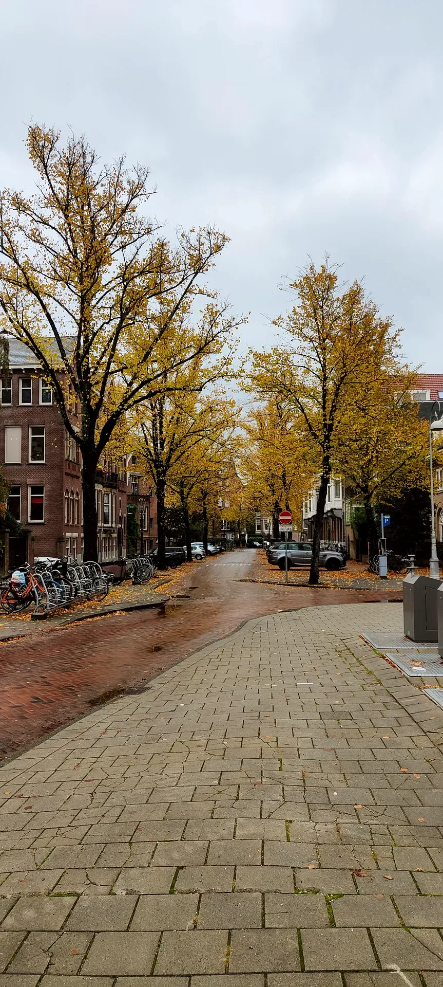 a willemspark side street, yellow on brick
