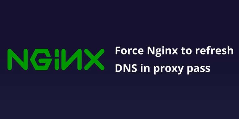 force-nginx-to-refresh-dns-in-proxy-pass-raj-rajhans